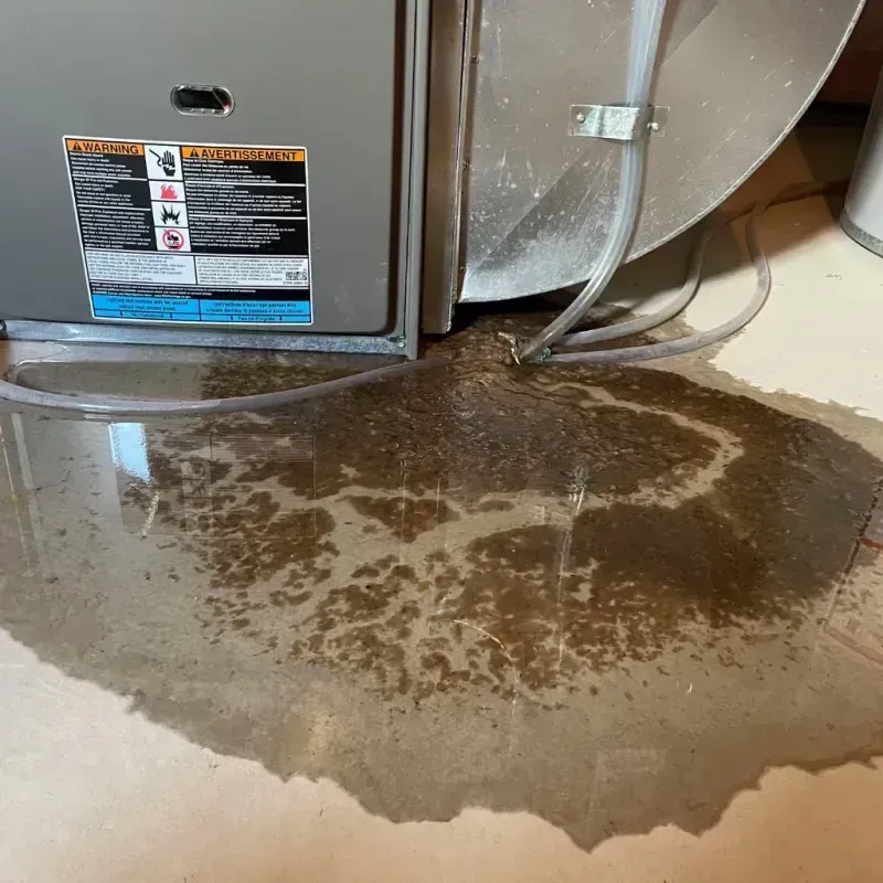 Appliance Leak Cleanup in Deer Lodge, MT